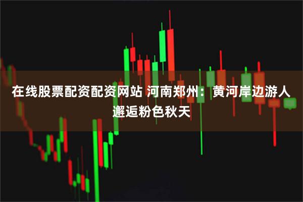 在线股票配资配资网站 河南郑州：黄河岸边游人邂逅粉色秋天